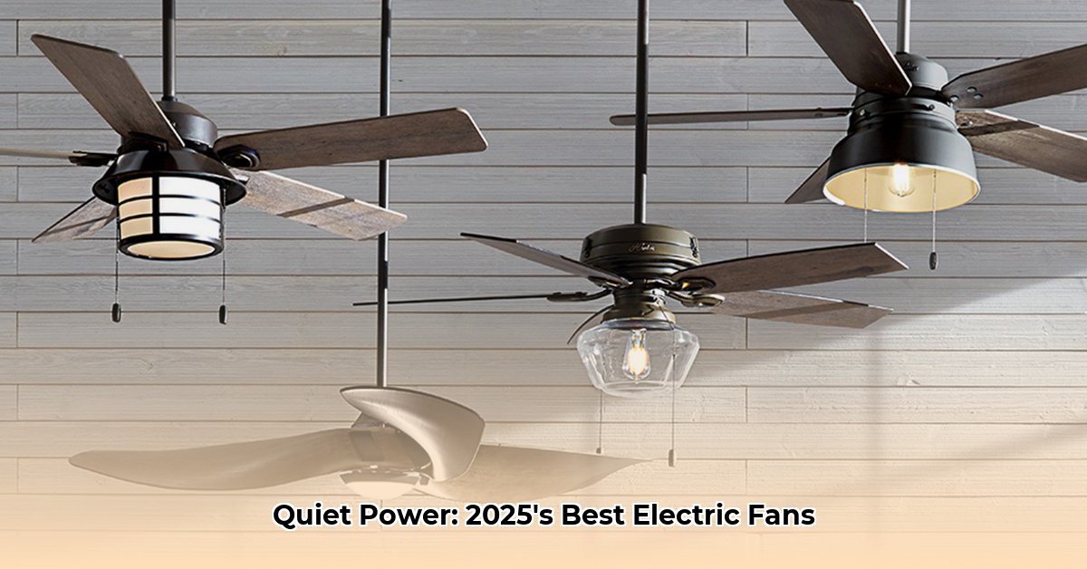 best-electric-fan-buying-guide